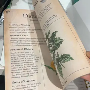review image 4