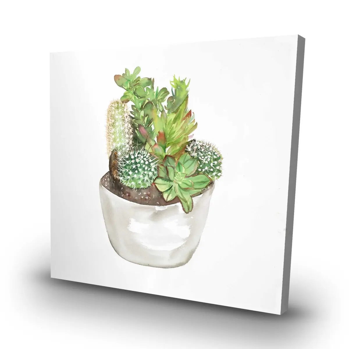 212 MAIN Hangable Cactus Assortment Plant Wall Art Print - 32x32 in Minimalist High-Detail Scandinavian Nature-Inspired Decorative Prints, Home Office Indoor Space Decoration for Design Enthusiasts
