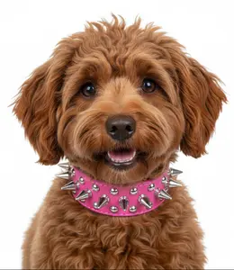 Bold & Brave: Artisan Spiked Dog Collar