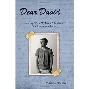 USED-Dear David: Dealing with My Son's Addiction One Letter at a Time by Martha Wegner (Paperback)