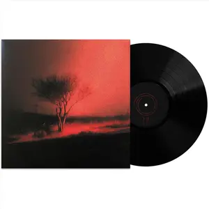 Joji - Piss In The Wind  [VINYL RECORD - LP] Explicit