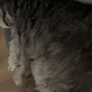 Cat Tree Tower for Indoor Cats, 54in Tall Multi-Level Pet Furniture, Stable Kitty Play House with Sisal Scratching Post, Large Condo, Climbing Ladder, Plush Toy for Kitten cat treehouse