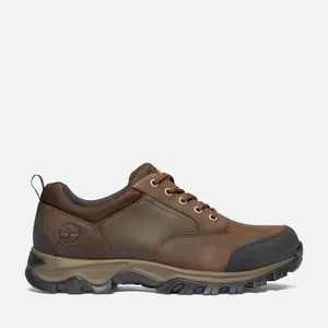 Timberland Men's Mt. Maddsen Waterproof Low Hiker Boot