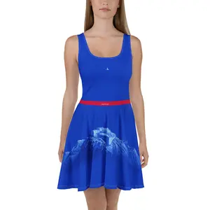 La Citadelle Skater Dress