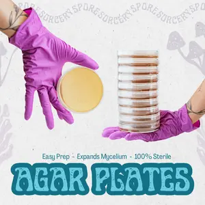 Agar Plates - Pre-Poured - Mycology Supplies - 10pack/20pack