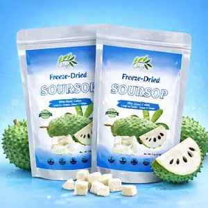 CHAVI Freeze-Dried Soursop | pack of 2 - Healthy  Superfood Super snacks  Fruit- Natural Sweet No Added Sugars or Preservatives - Non-GMO, Vegan, Gluten-Free 4 oz |
