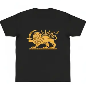 Lion and Sun shirt Persian Flag graphic tees Persian flag symbol Shiro Khorshid Lion and sun unisex shir Free Iran Oppose war y2k cotton Gift of Love and Peace