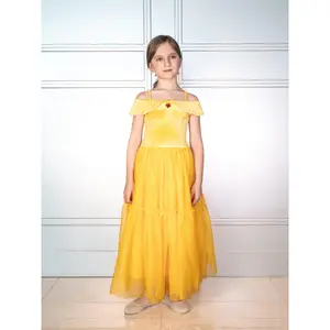 The Enchanted Rose Princess Dress