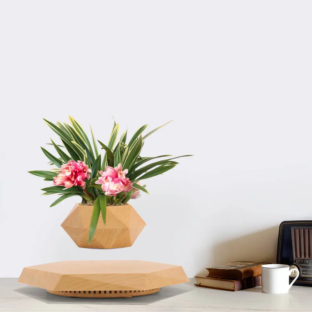 Magnetic Levitation Floating Planter - Hexagonal Wood-Grain Modern Home & Office Decor, Levitates 360°, Suspends 12-15mm Gap, Holds Up to 200g for Succulents & Small Plants, Indoor Use, Gift for Plant Enthusiasts