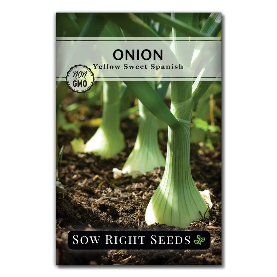 Yellow Sweet Spanish Onion