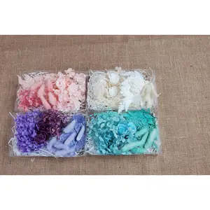 Dry Flowers Mixed Pack Fresh Real Pressed Natural Dried Flowers Dried Pressed Flower Resin For Art Crafts