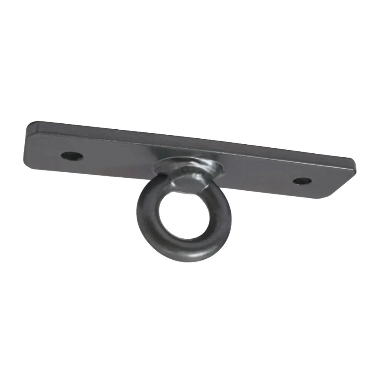 ProBoxing® Heavy Duty Ceiling Mount ProBoxing® Heavy Duty Ceiling Mount
