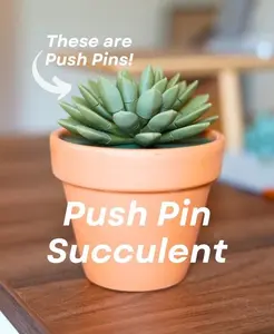 Pavilion3DPrinting  3d Printed Push Pin Succulent-The leaves are push pins! Functional Plants- Perfect for anywhere when you may need push pins or need a bit more greenery