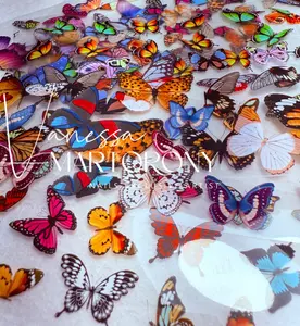 FOIL BUTTERFLY