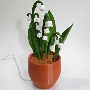 Night Light Lilies