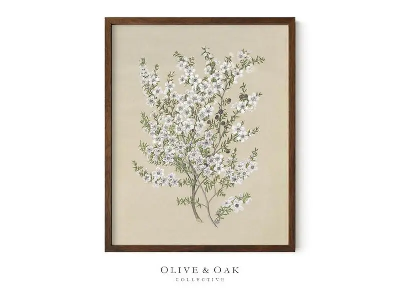 Vintage Flower Drawing  Wall Art / Neutral Decor Art Print / Floral Wall Art