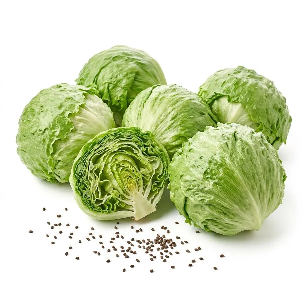 2000 Iceberg Lettuce Seeds for Planting - Sweet, Ultra-Crisp & Large Heading Lettuce for Home Garden - Heirloom Crisphead Seeds