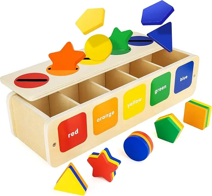 Montessori Toys Wooden Color & Shape Sorter Toys for Toddlers, Matching Box Sorting Blocks Manipulatives Preschool Learning Educational Toy for 1 - 3 Year Old Boy Girl Kid Gifts