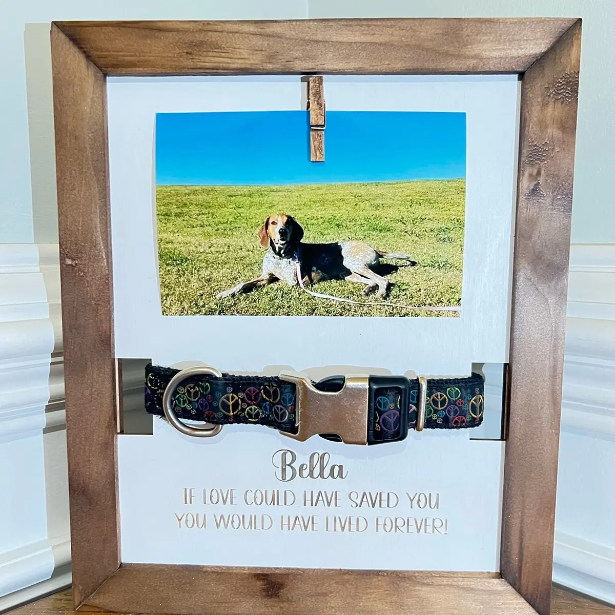 Pet remembrance frame with collar holder.