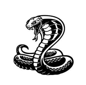 Cobra 5x5 Vinyl Decal for Car Exterior Accessories - Durable Material, Custom Color Options Available