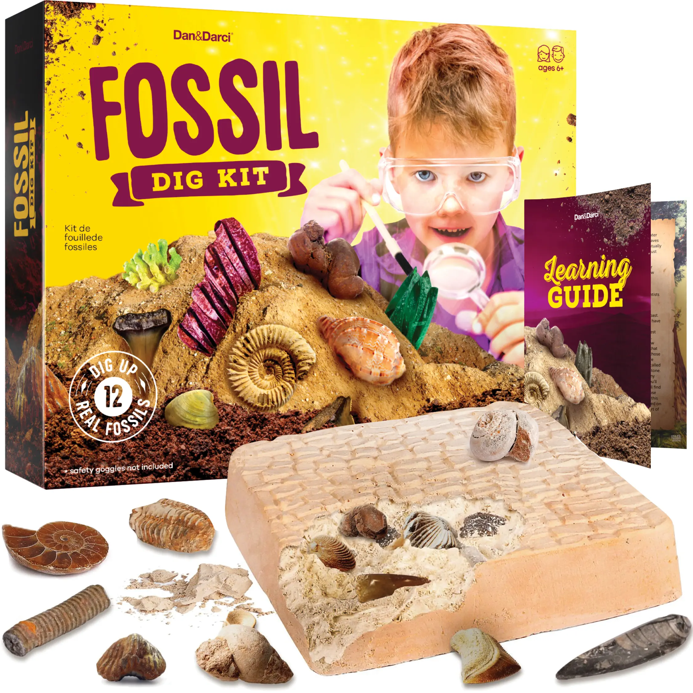 Dan&Darci Real Fossil Dig Kit for Kids - 12 Genuine Specimens, Dinosaur Paleontology Tool Set with Chisel, Brush, Magnifier, Learning Guide - Sparks Discovery & Curiosity, Educational Science Toy for Ages 5+