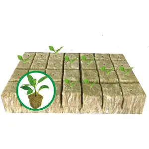 Hydroponics Rockwool Plant Starter Cubes