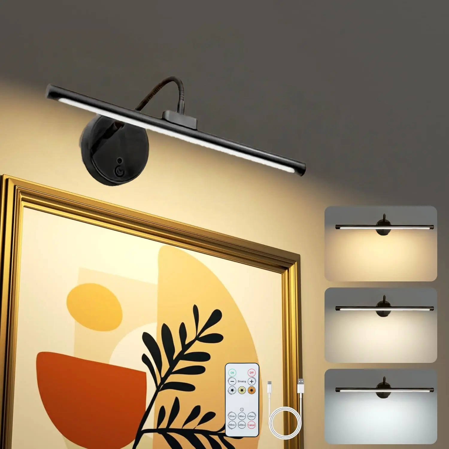 14 Inch USB Rechargeable Dimmable Wall Lamp with Remote Control, Adjustable Color Temperature, Ideal for Art Painting, Gallery, Portrait Lighting, Interior Lights, Indoor Wall Light