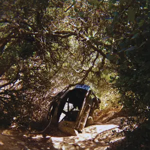 Ty Segall - Posession Vinyl LP