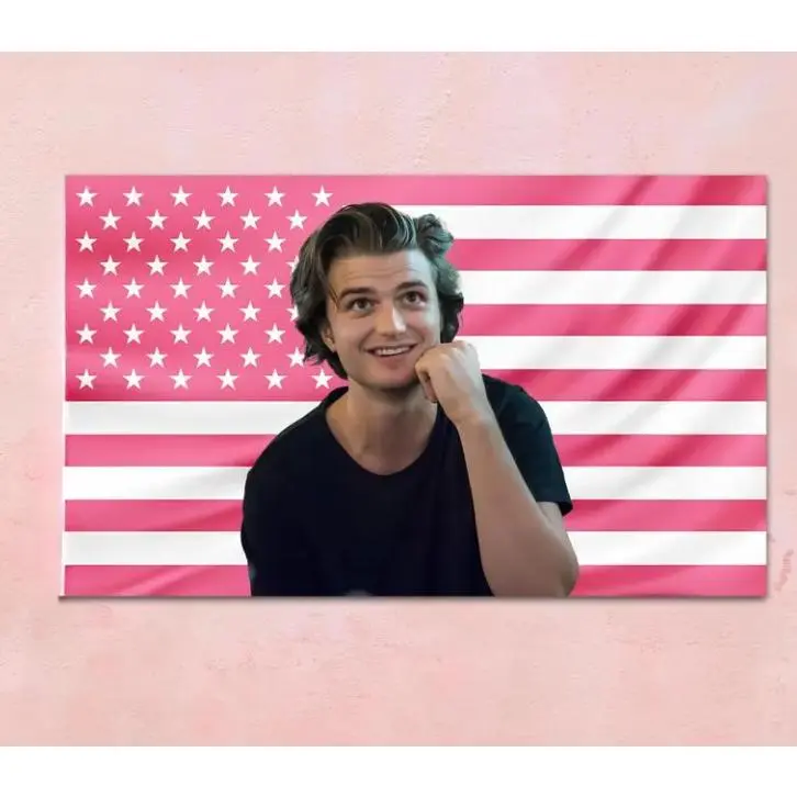 Joe Keery Pink Flag Tapestry, Joe Keery Indoor Wall Tapestries, Retro 90s Joe Keery Flag, Joe Keery Gift For Fan, Joe Keery Fan Flag Decor Room Decor