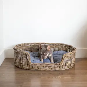 Oval Rattan Pet Bed with Pillow