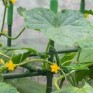 10pcs Plant Support Fixed Cross Clip Garden Climbing Rattan Stent Accessories 360 Adjustable Plastic Fastener Suitable For Plant Stakes