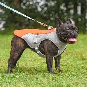 Summer Dog Cooling Vest – Breathable Outdoor Pet Jacket for Small & Medium Dogs | Lightweight Cooling Harness for Hot Weather