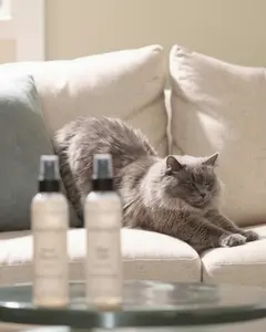 The Co-Scentric Set (Pet-Safe Linen & Room Sprays)