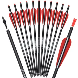 12pcs 20inch Carbon Bolt Arrow Shaft 4'' Vanes Bolt Plastic Nock Hunting Archery