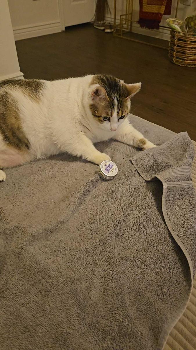 Item: Multicolor, Lavender