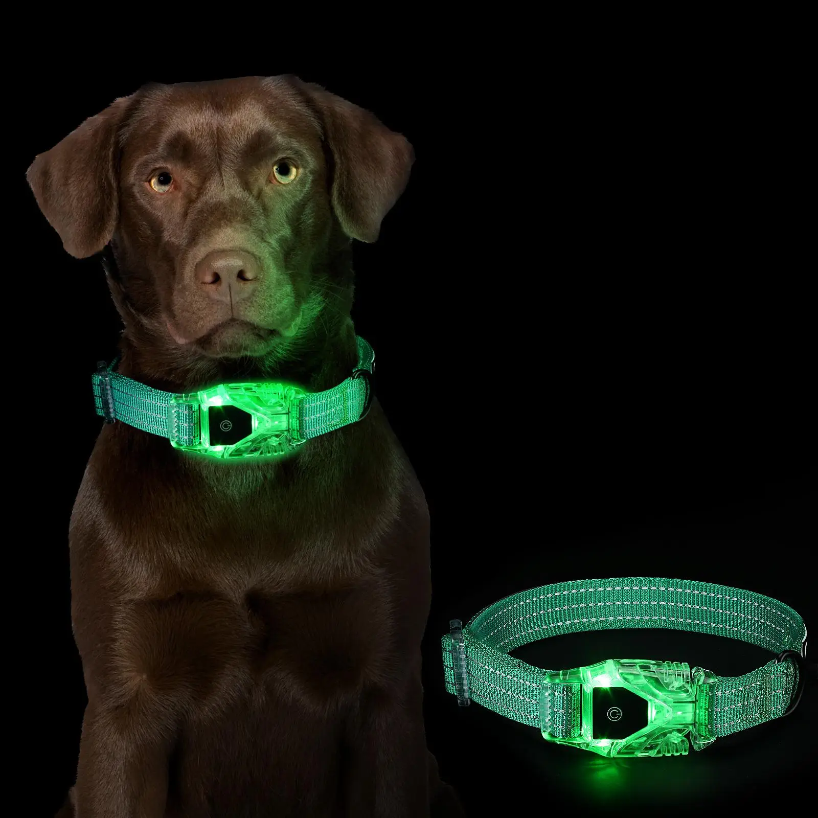 Spring 3 in 1 LED Dog Collar, 1 Count Waterproof Dog Neck Accessories with Quick Release Tool, Great for Night Walking & Night Running, Pet Supplies,