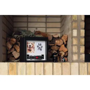 OtterPets Dog Urn for Ashes, 4 Customizable Displays with Paw Print Ink Kit and Flannel Bag, Pet Urns for Dogs Ashes, Pet Cremation Box, Cat Urn for Ashes, Dog Ashes Keepsake (Black)