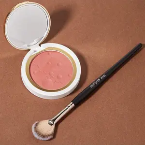 Fan Shape Powder Blush High Gloss Brush, Soft Makeup Brushes, Soft Texture, Easy Makeup Application, Perfect Beauty Tool for Beginners, Face Makeup Brush