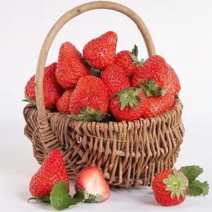 500+ PCS Strawberry Seeds – Grow Juicy, Sweet Strawberries at Home or Garden, Easy to Plant, Non-GMO, Heirloom Variety, Perfect for All Seasons