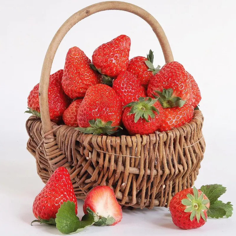 strawberry garden near me - TikTok Shop