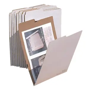 Advanced Organizing Systems VFLD-19-10-01 Document Organizer, 12x18 in. Office Flat Storage File with 19 Folders, 10-Pack Paper Organizer, Paper Organizers