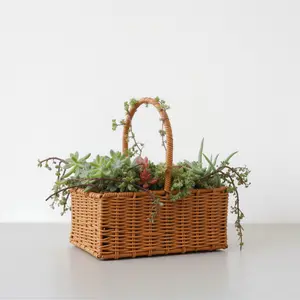 Large Soilless Succulent Cuttings Basket –  Live Succulent Floral Arrangement with Moisture Base-Clean,Soil-Free,Home Garden Decor Gift, Plant Starter Kit