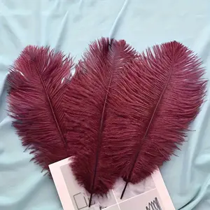 5 large-sized items [14.2 - 16.2 inches] of ostrich feathers, selected from high-quality dense feathers. Suitable for home decoration, festive party decoration, wedding and celebration venue arrangement decoration, and for making handmade DIY handicrafts.