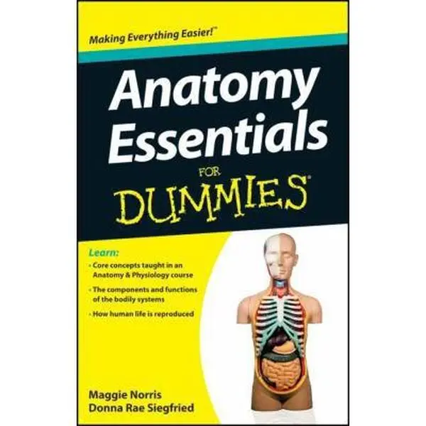 USED Book - Anatomy Essentials for Dummies by Norris, Maggie A. (Paperback) - english