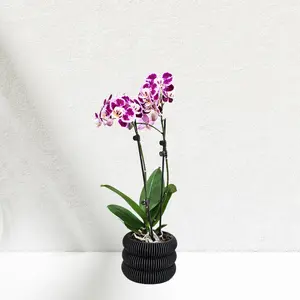 Orchid Pot - Large Orchid Pot  - Modern Orchid Planter