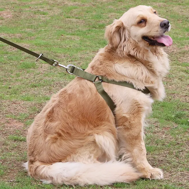 Nylon Pet Harness + Leash