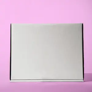 Blank Literature Mailer Box / 50 units