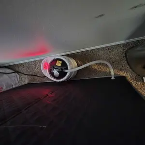review image 4