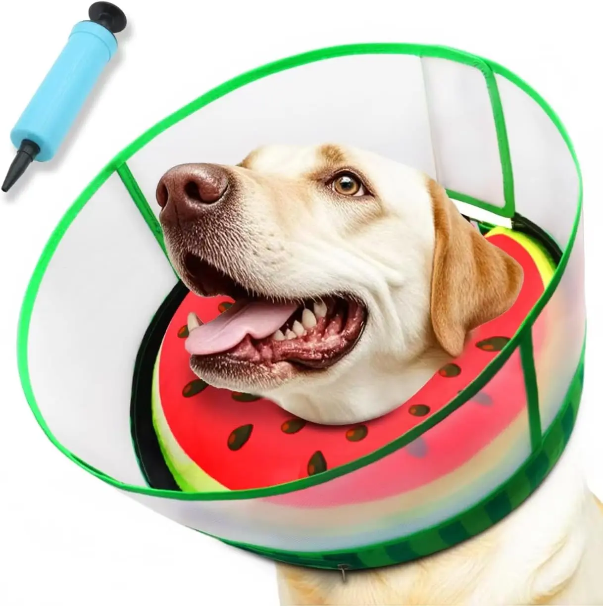 Upgraded Inflatable Dog Elizabethan Collar (Size L, Watermelon) - Sturdy Transparent Anti-Licking Shield, Soft & Comfortable Cushioned Design, Universal Fit for Medium/Large Dogs, 2-in-1 Detachable Shield, Secure Hook&Loop Closure for Postoperative Care