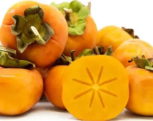 Fuyu Persimmon Tree- 3 Feet Tall - Grafted Tree - Ship in pot